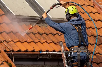 Démoussage et hydrofuge de toiture à Bouhet